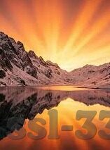 333体育